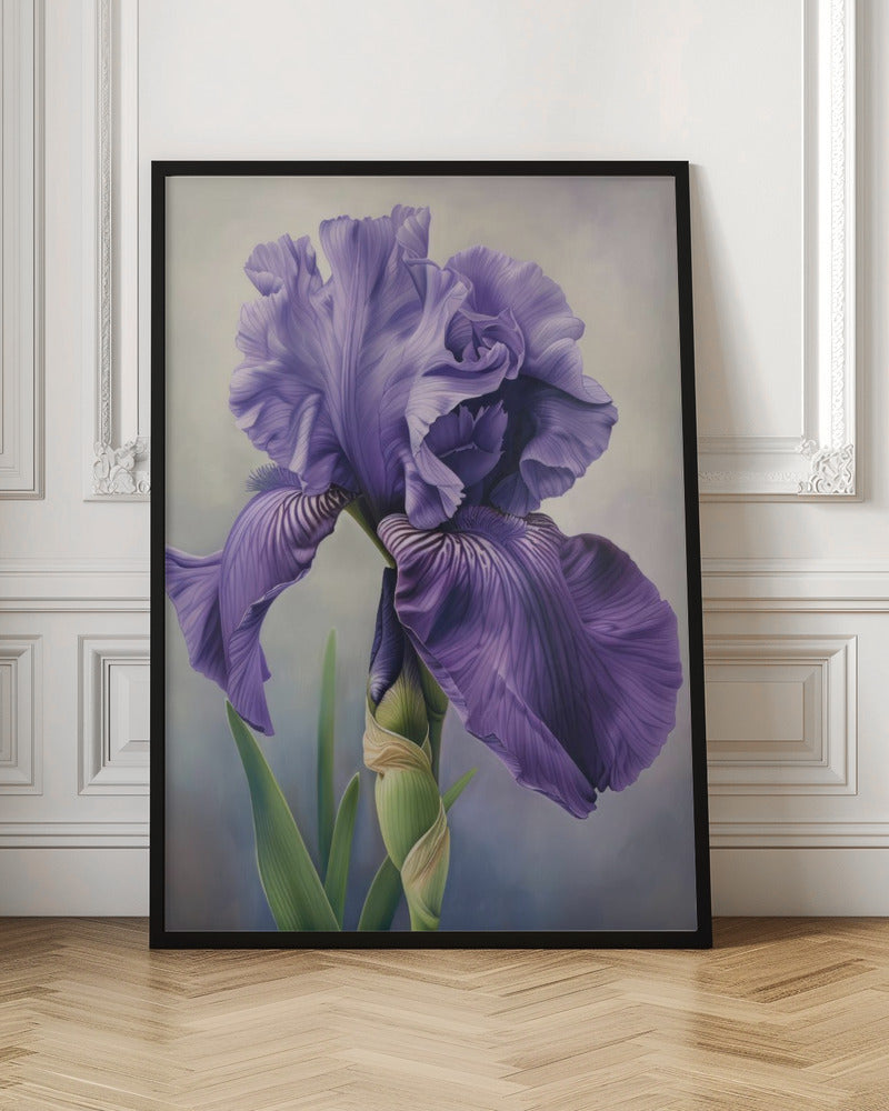 Wall art Iris Fl 103 36X48inch In White Floating Frame