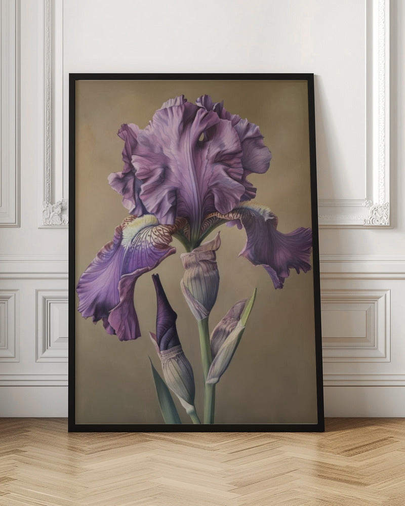 Wall art Iris Fl 104 36X48inch In White Floating Frame