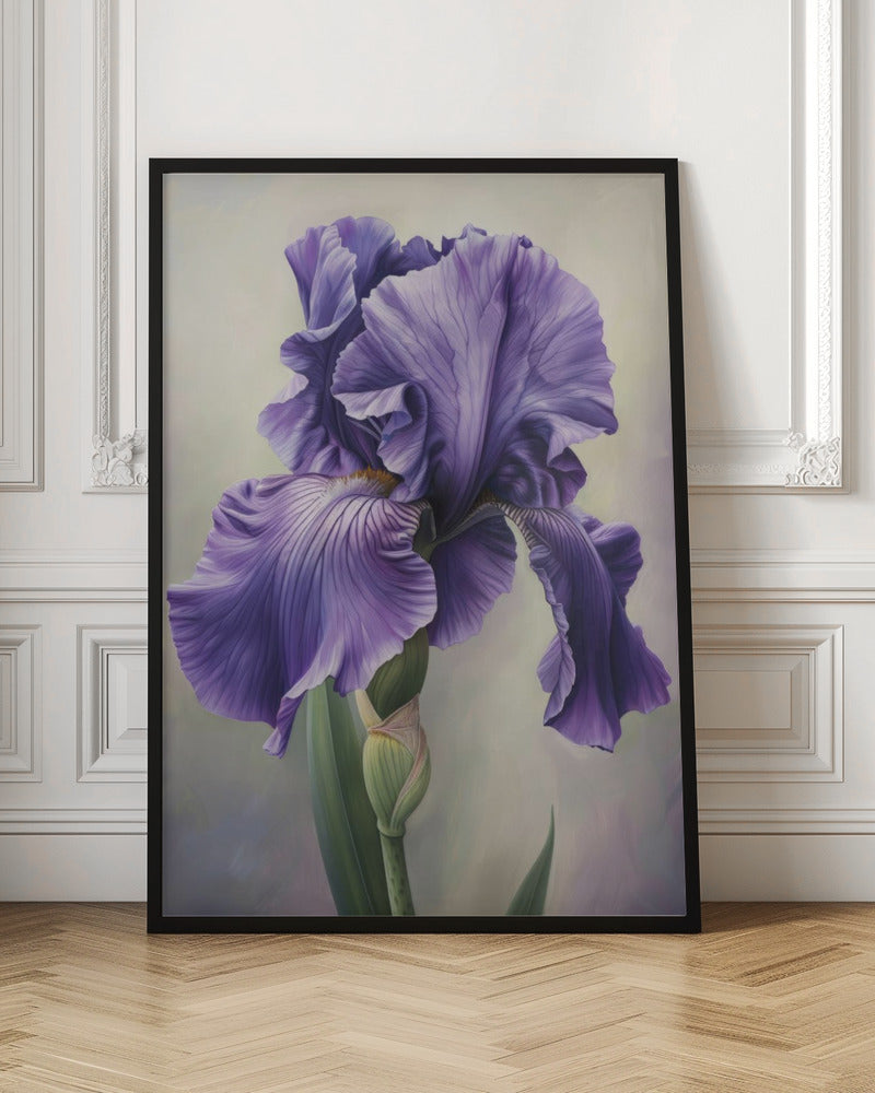 Wall art Iris Fl 116 36X48inch In White Floating Frame