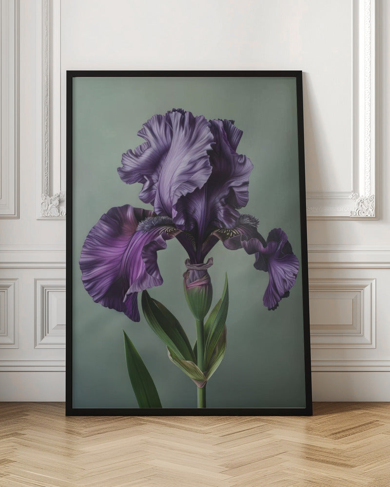 Wall art Iris Fl 13 36X48inch In White Floating Frame