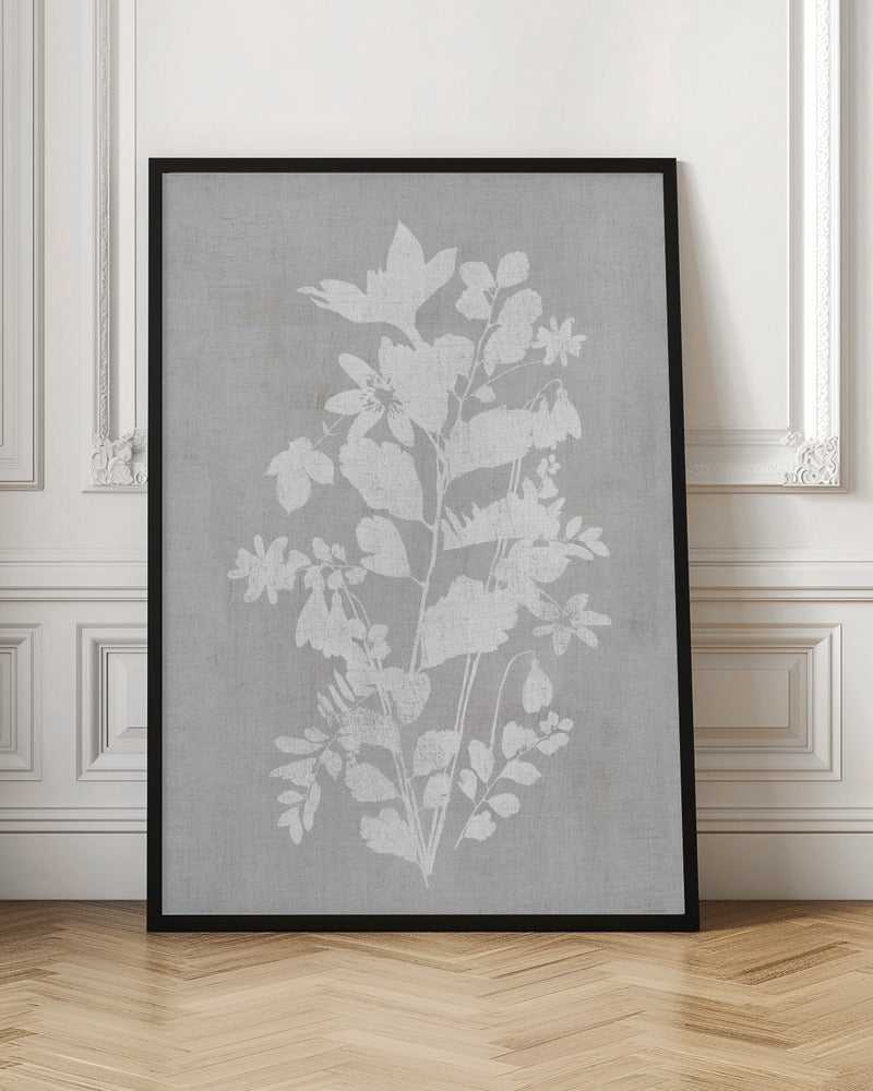 Wall art Botanical Illustration 2