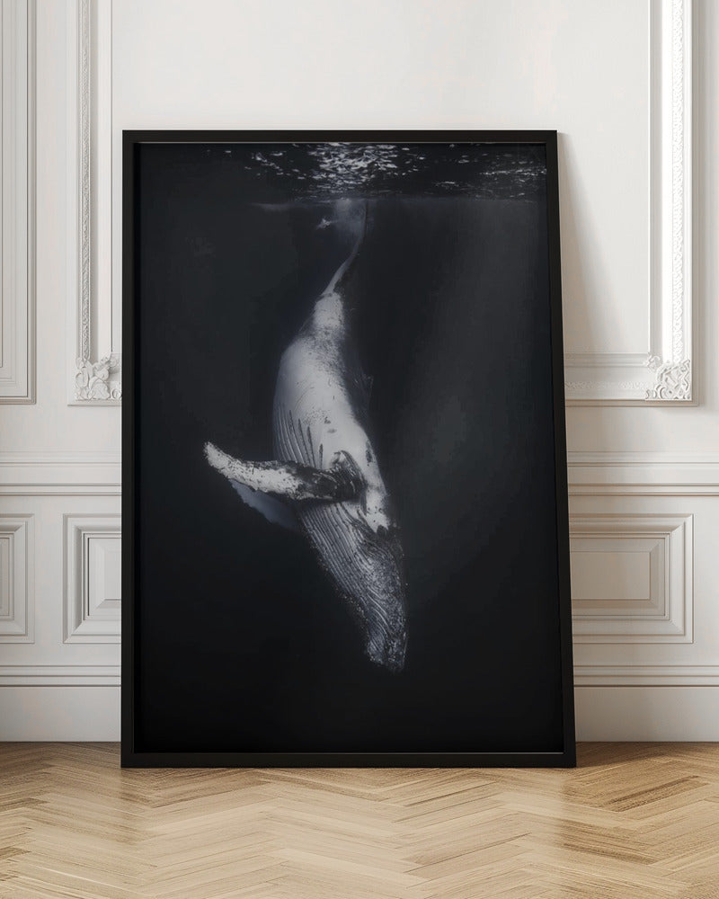 Black Whale Wall Artwork In Black Floating Frame