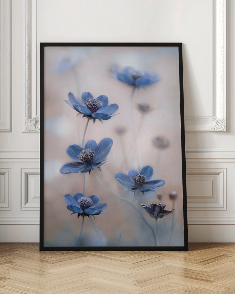 Cosmos blue Wall Artwork In Black Floating Frame