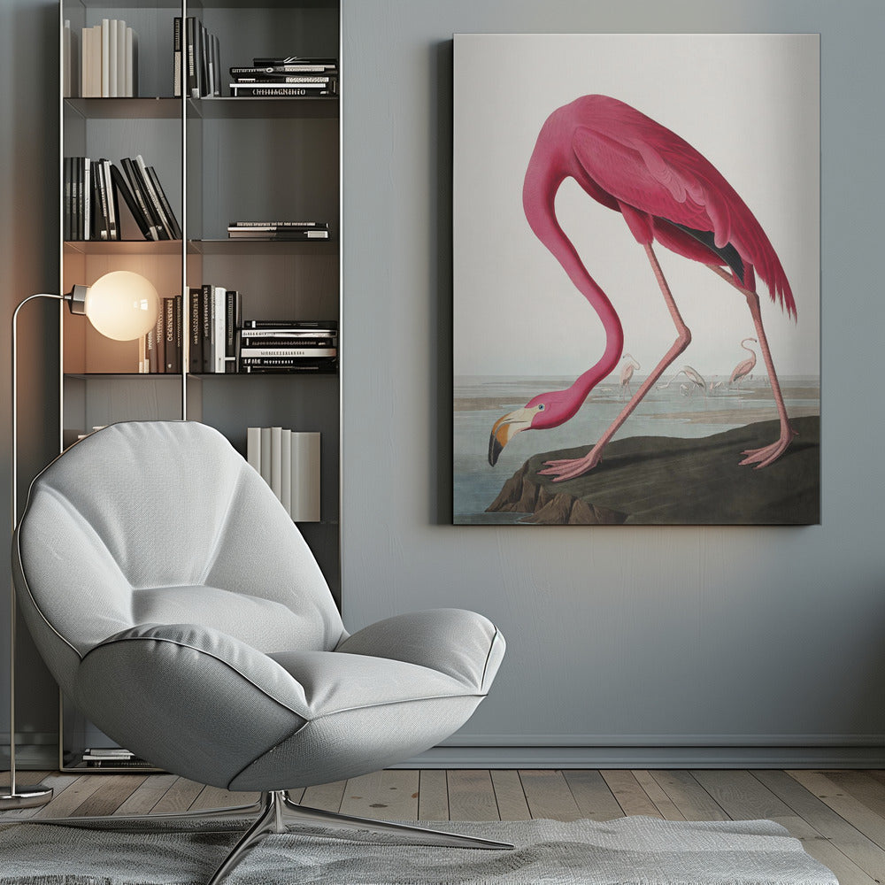 Pink Flamingo Ii From Birds of America (1827) Wall Artwork 0