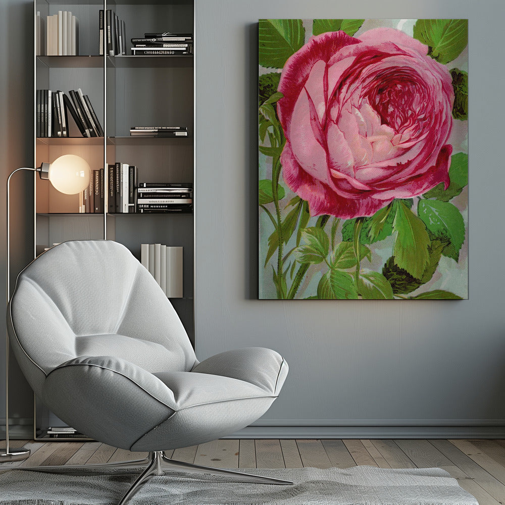 Pink Rose, Mrs John Laing Lithograph Wall Artwork 0