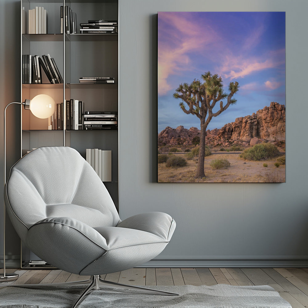 Landscape Photography Canvas Print-wall-art-joshua-tree-evening-atmosphere-