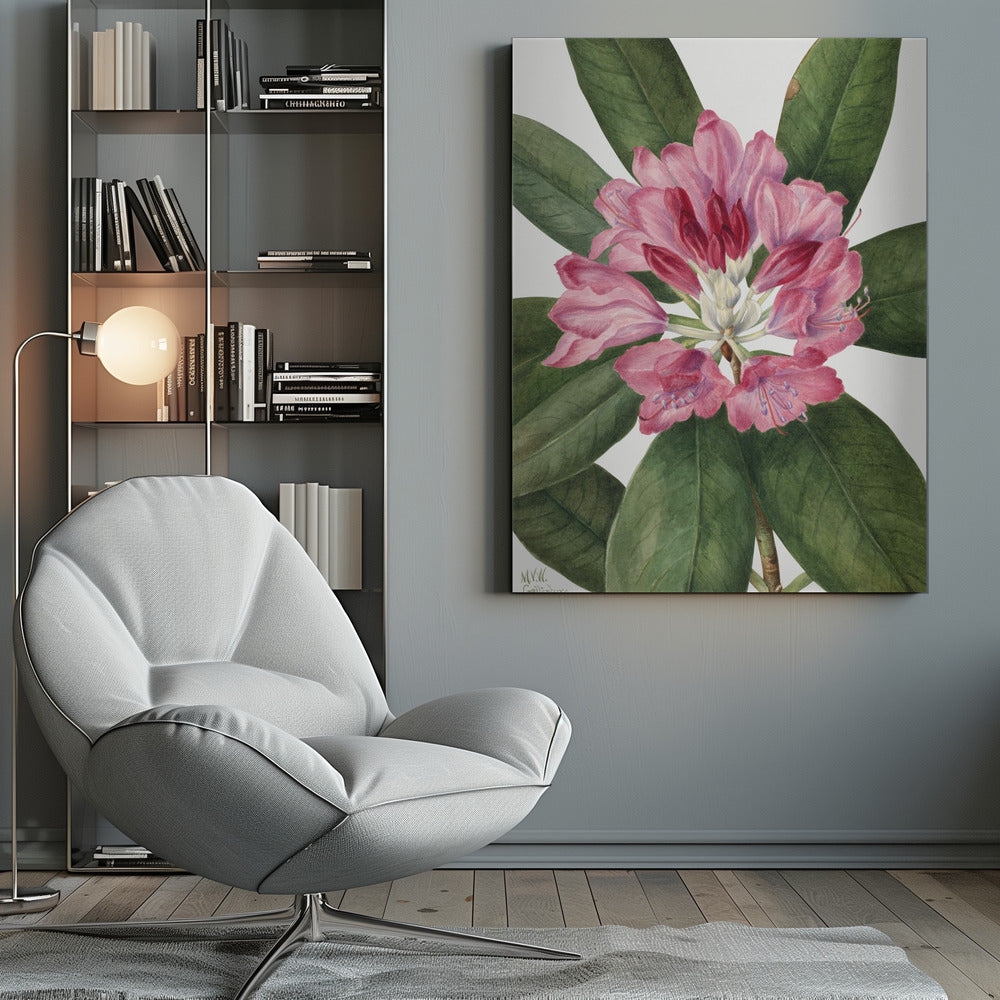 Mountain Rose Bay (1932) Wall Artwork 0