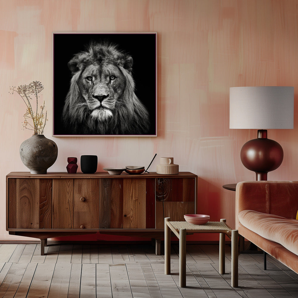 Wall art Young Male Lion Canvas Print
