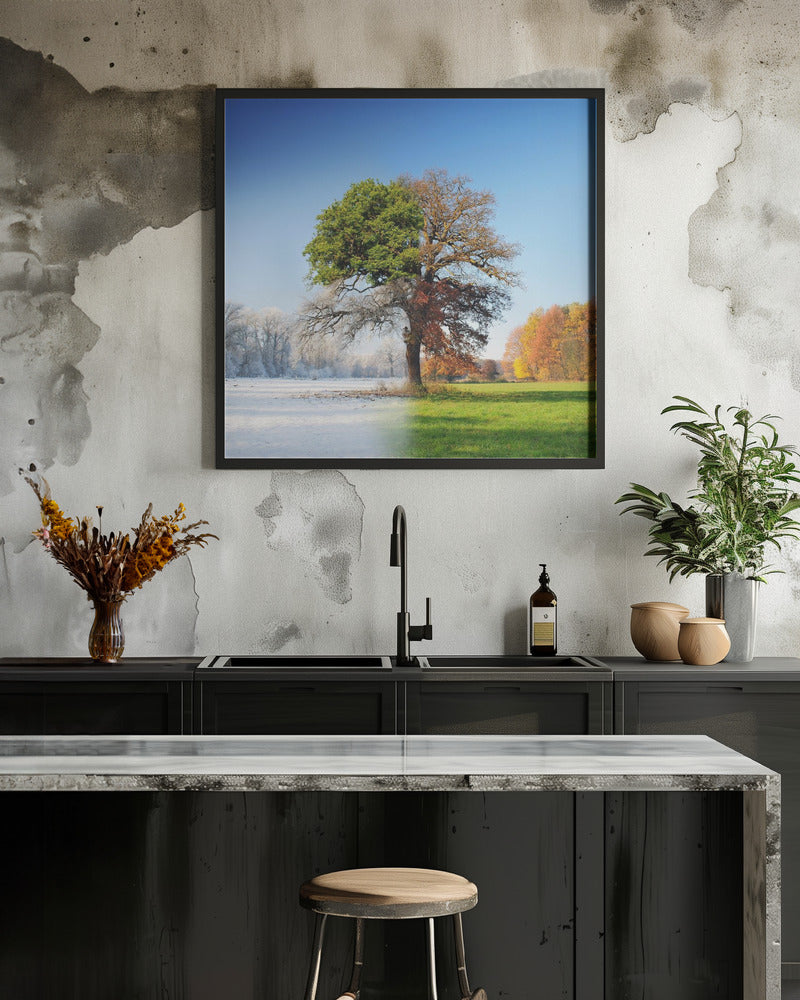 4 seasons Wall Artwork 0