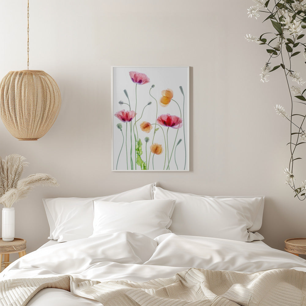 Poppies Wall Artwork 0