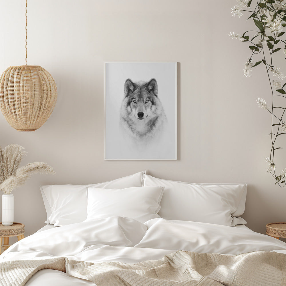 Portrait of a Timber Wolf Wall Artwork 0