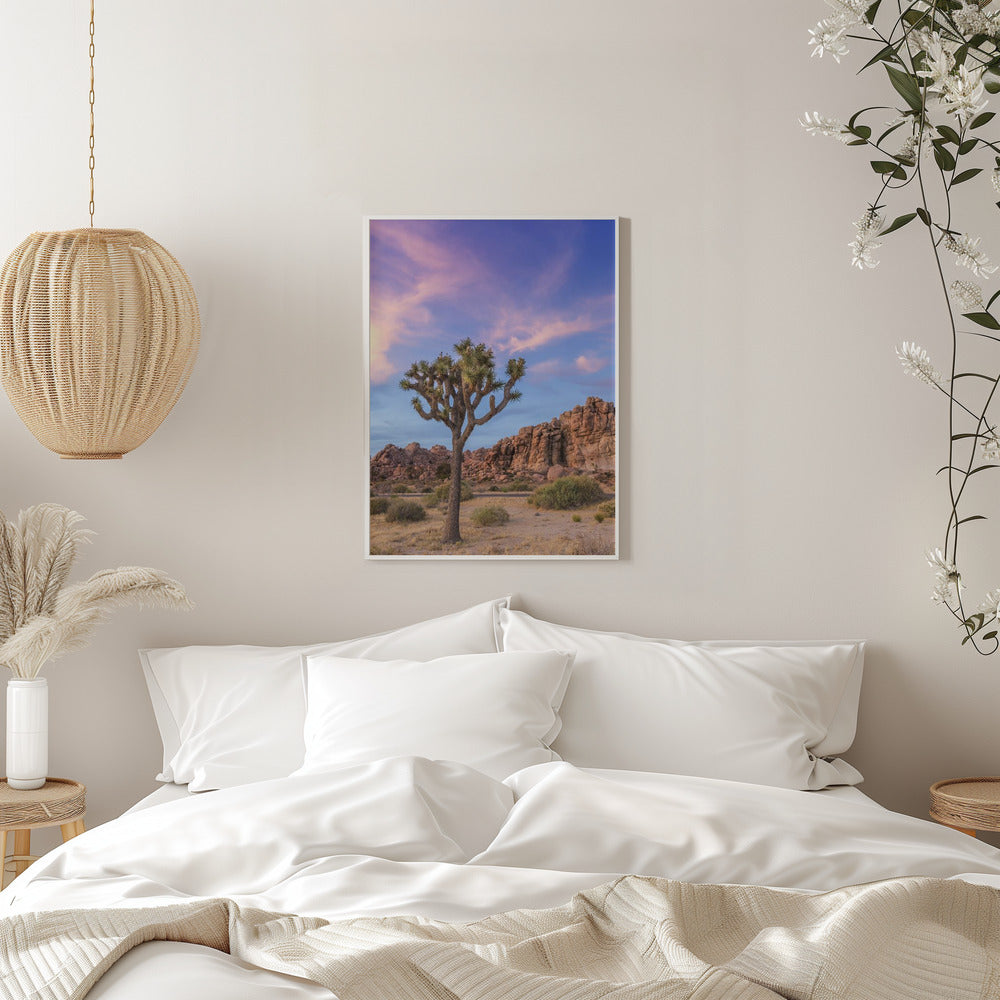 Landscape Photography Canvas Print-wall-art-joshua-tree-evening-atmosphere-