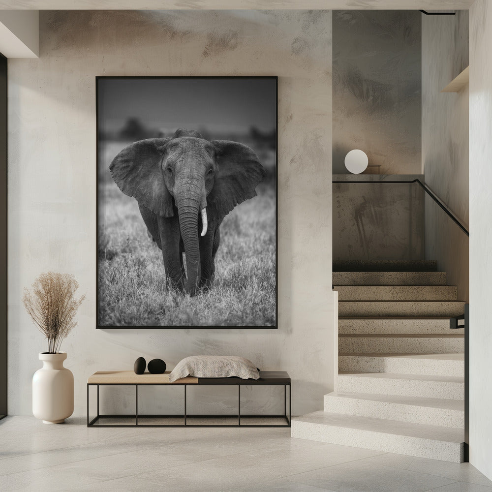 SINGULARITY Wall Artwork 0