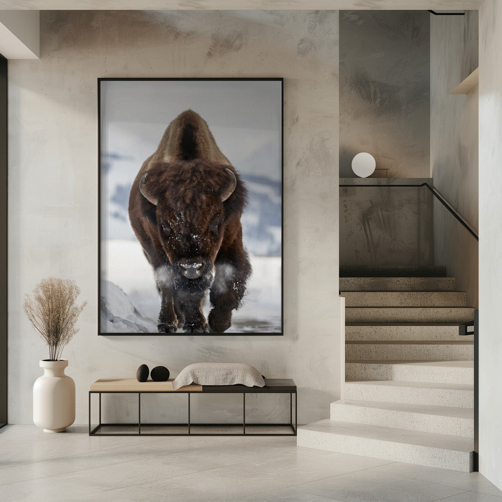 Bison Incoming Wall Artwork 0