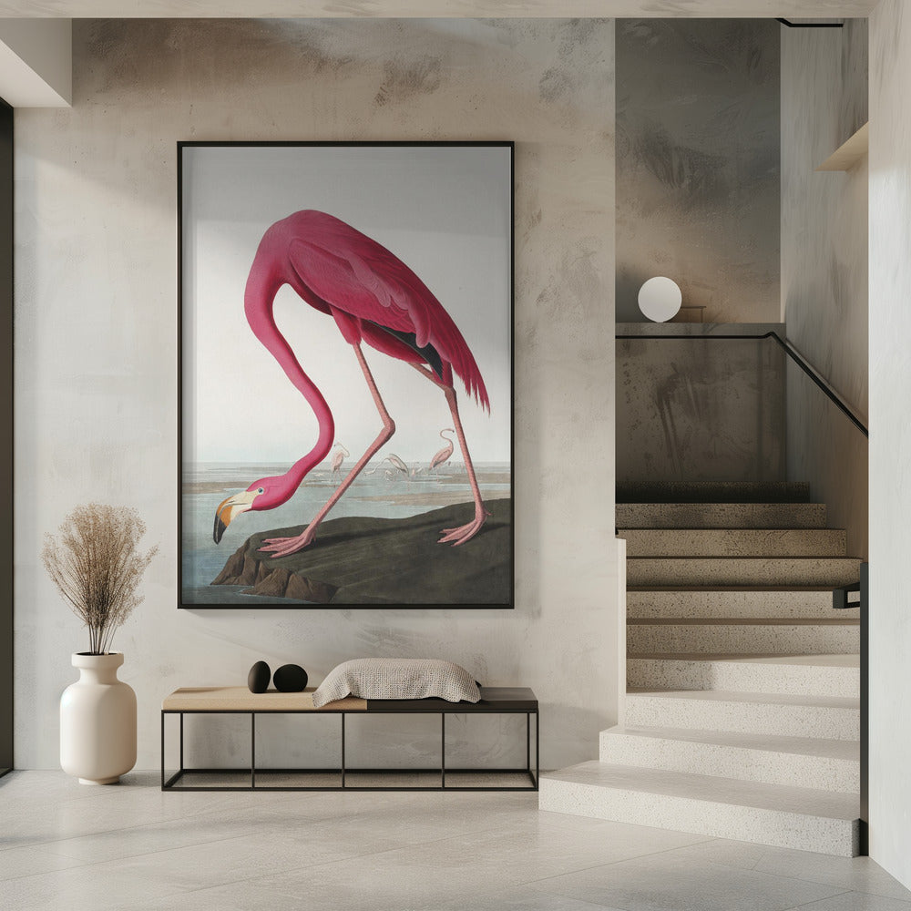 Pink Flamingo Ii From Birds of America (1827) Wall Artwork 0