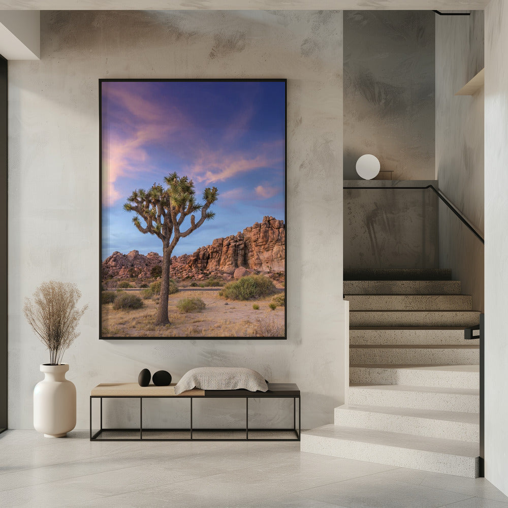 Landscape Photography Canvas Print-wall-art-joshua-tree-evening-atmosphere-