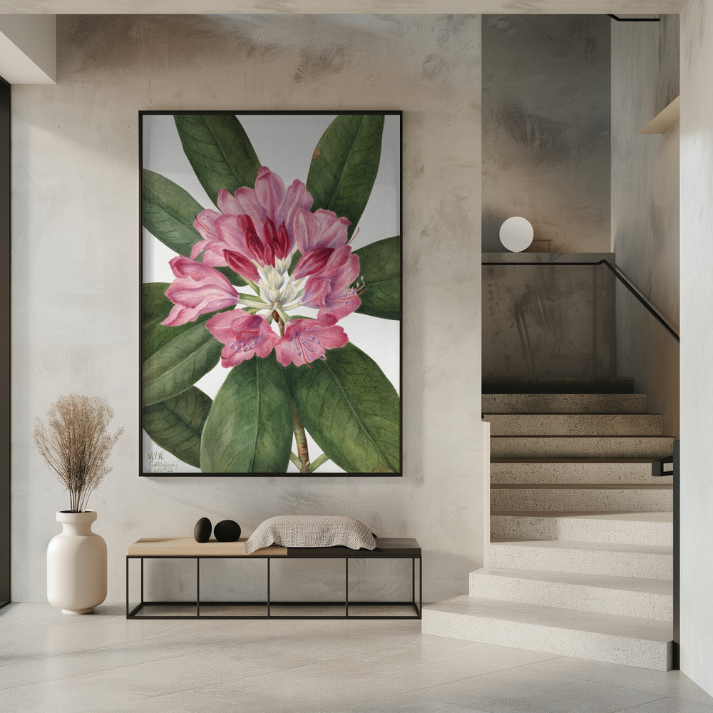 Mountain Rose Bay (1932) Wall Artwork 0