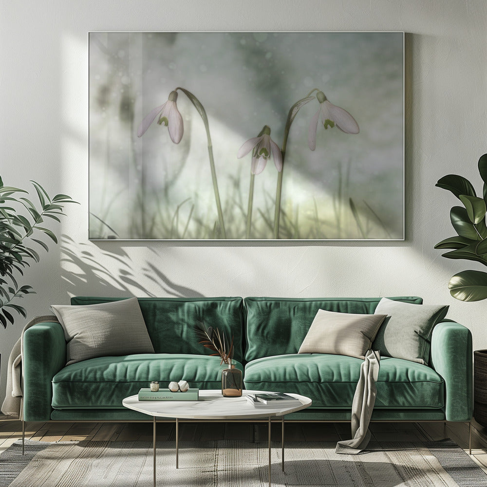 Trio 2 Wall Artwork 0