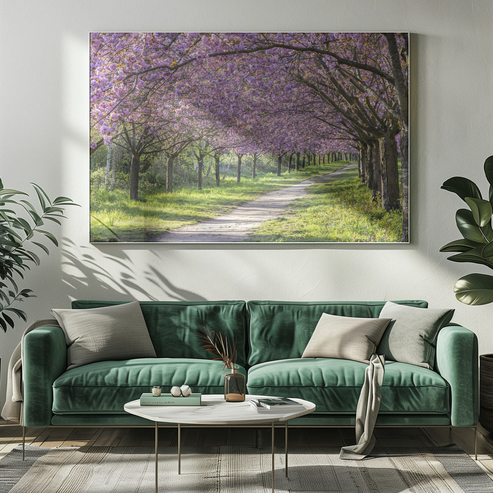 Landscape Photography Canvas Print-wall-art-idyllic-cherry-blossom-alley-