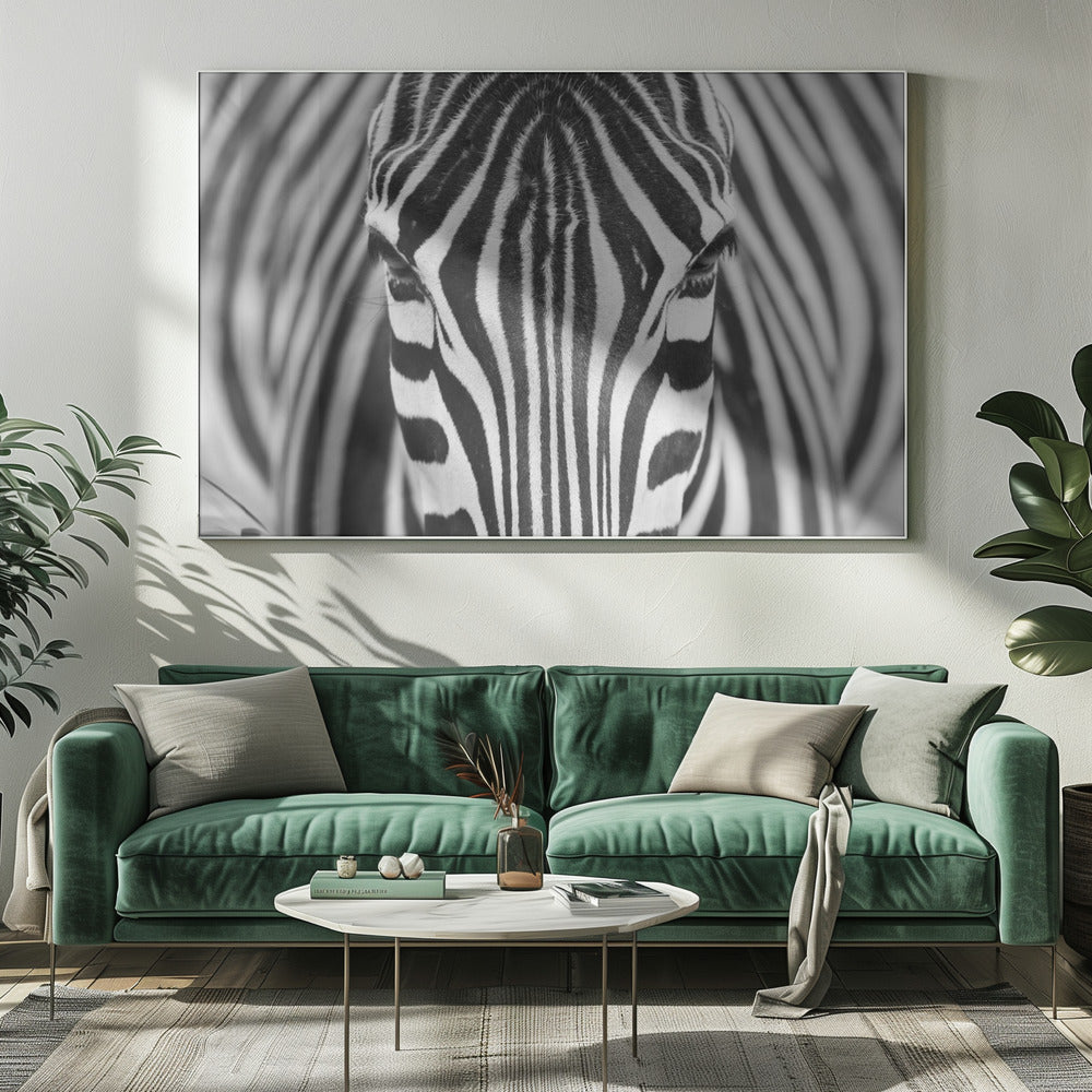 Wall art Zepra