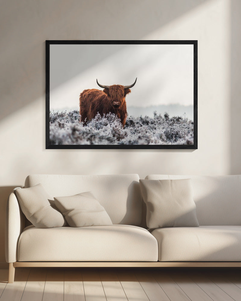 Highlander Wall Artwork 0