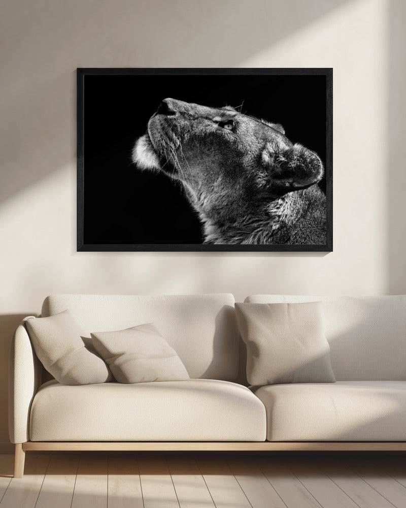 Looking Up Wall Artwork 0