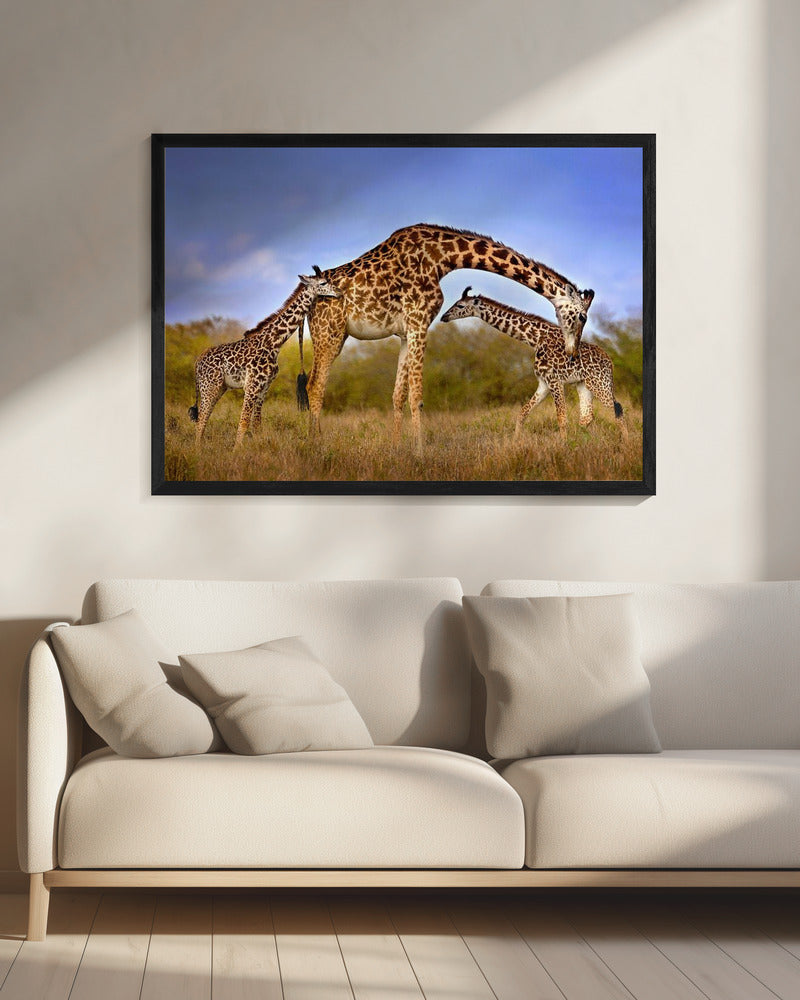 Wall art Giraffe with cubs