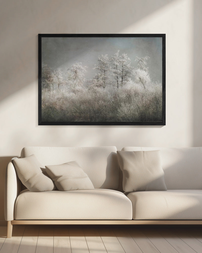 Wall art Cold morning