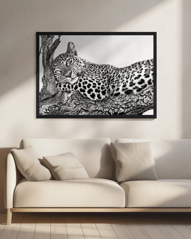 Time to rest Leopard Wall Artwork 0