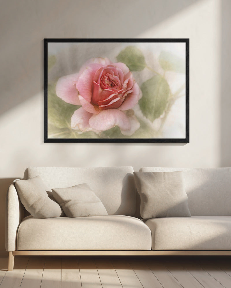 smooth rose Wall Artwork 0