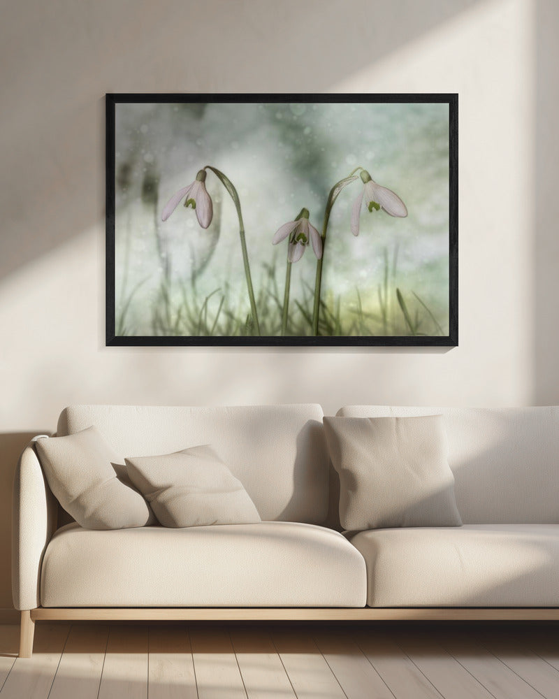 Trio 2 Wall Artwork 0