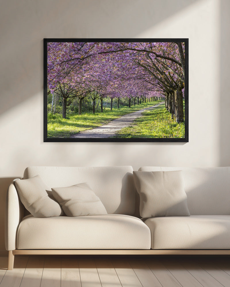 Landscape Photography Canvas Print-wall-art-idyllic-cherry-blossom-alley-