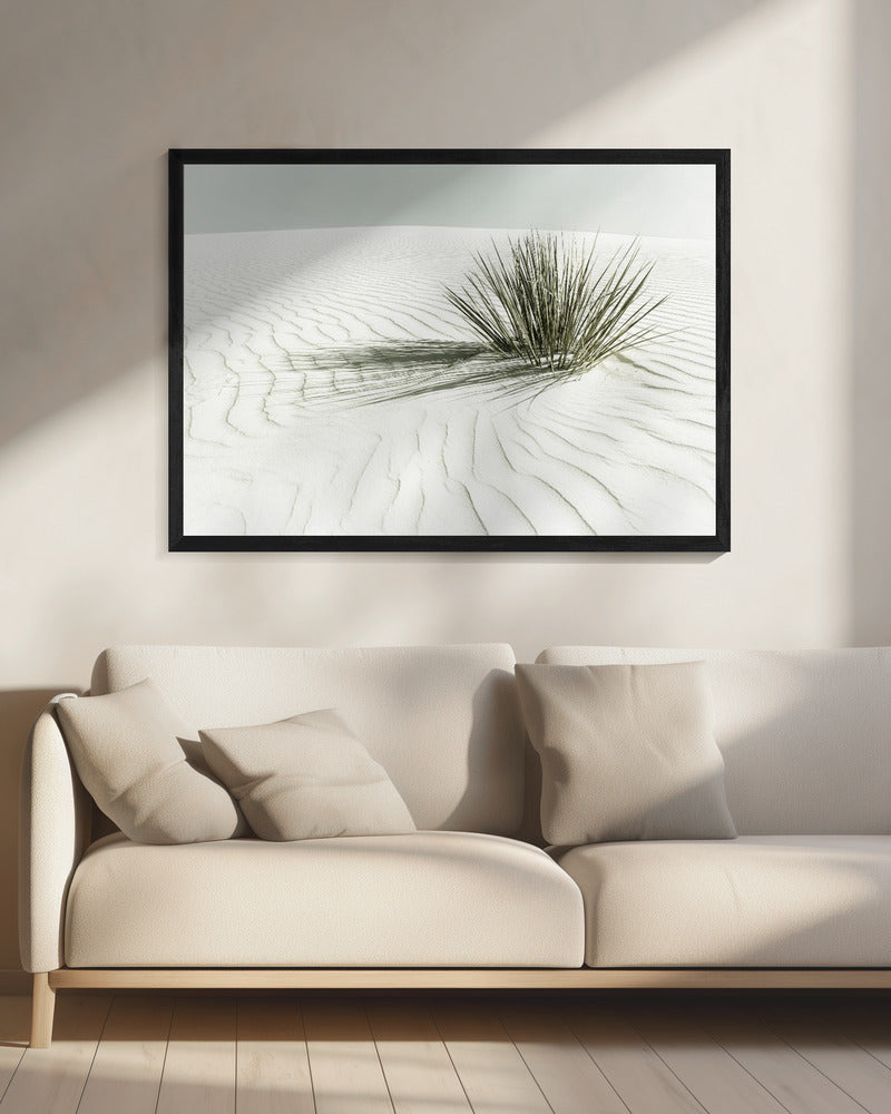 Landscape Photography Canvas Print-wall-art-white-sands-vintage-dune-