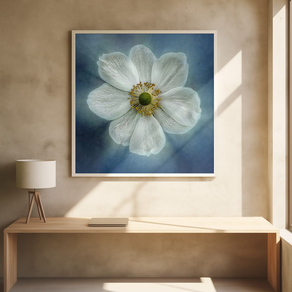 Princes Anne-Mone Wall Artwork 0