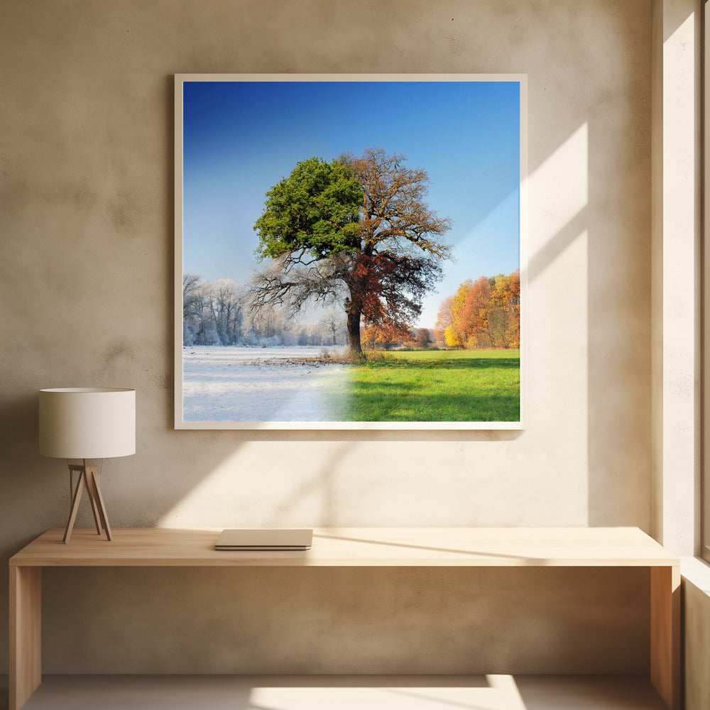 4 seasons Wall Artwork 0