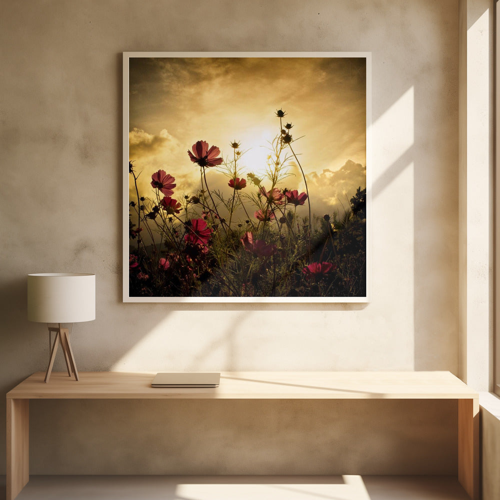 Watching the Sun Wall Artwork 0