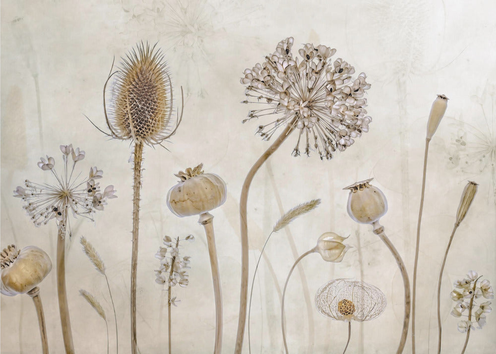 Growing old Wall Artwork In Black Floating Frame