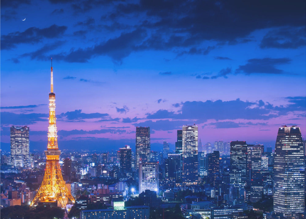 Wall art Tokyo night view