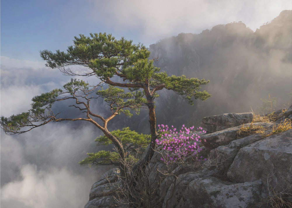 Wall art Dream dancer Canvas Print