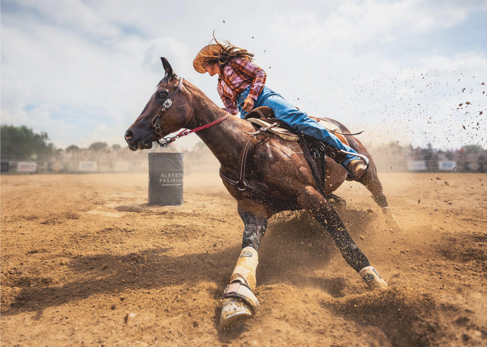Slam on the Brakes Wall Artwork In Black Floating Frame