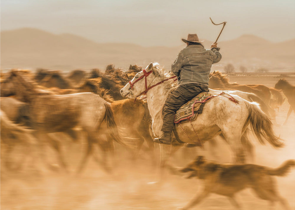 Wall art Wild horses (aka Yılkı Atları)