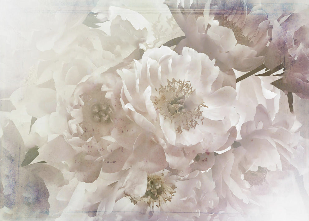 Ombre033flower Wall Artwork Gallery Wrapped (Ready to Hang)