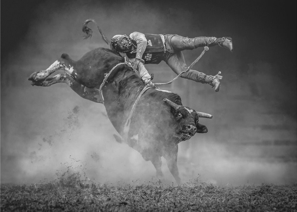 Keeping Balance Wall Artwork Gallery Wrapped (Ready to Hang)