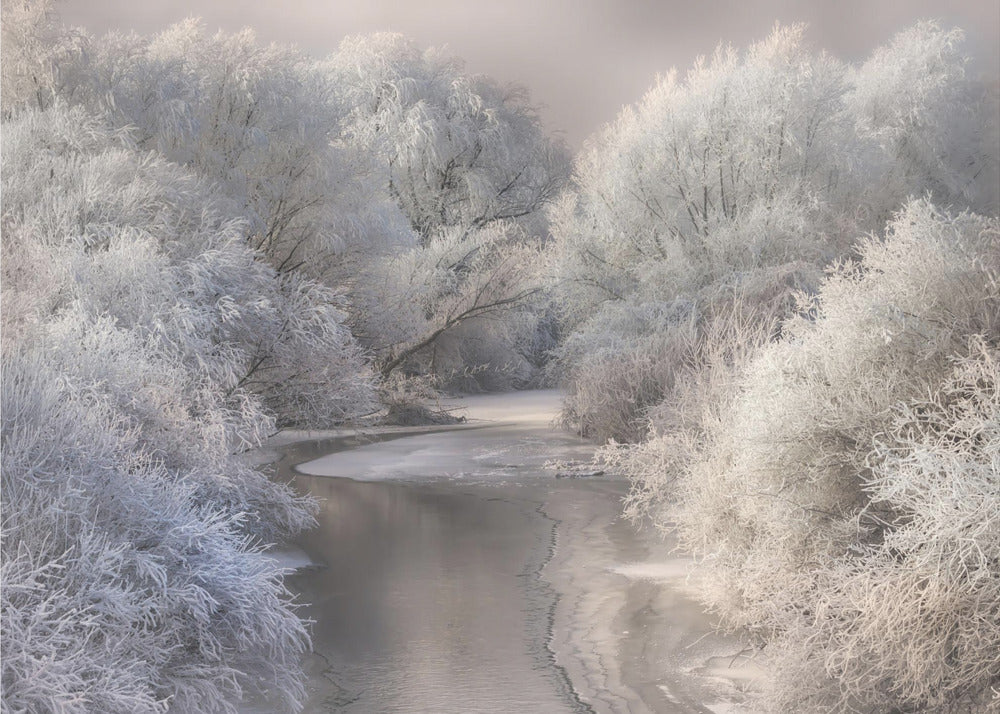 Wall art Winter Song Canvas Print