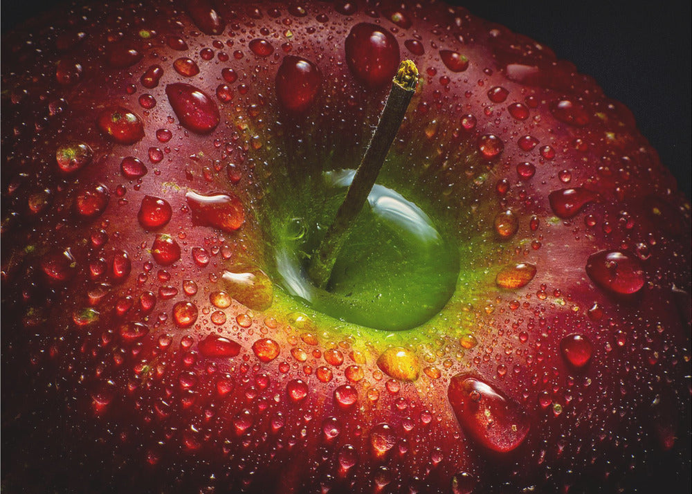 Wall art Red Apple. Food