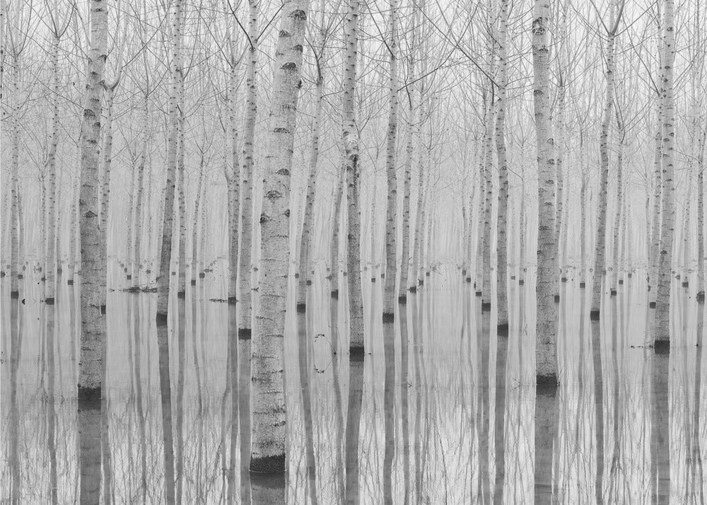 Novembre 2014 Wall Artwork In Black Floating Frame