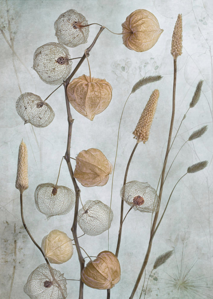 Lanterns* Wall Artwork In Black Floating Frame