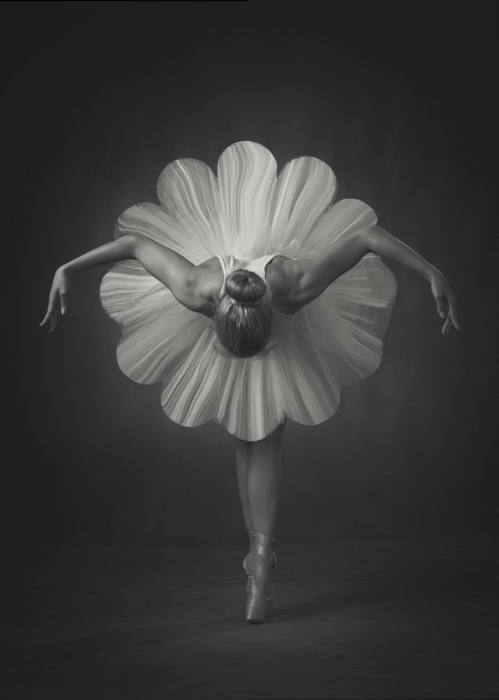 Floral Ballet Wall Artwork In Black Floating Frame