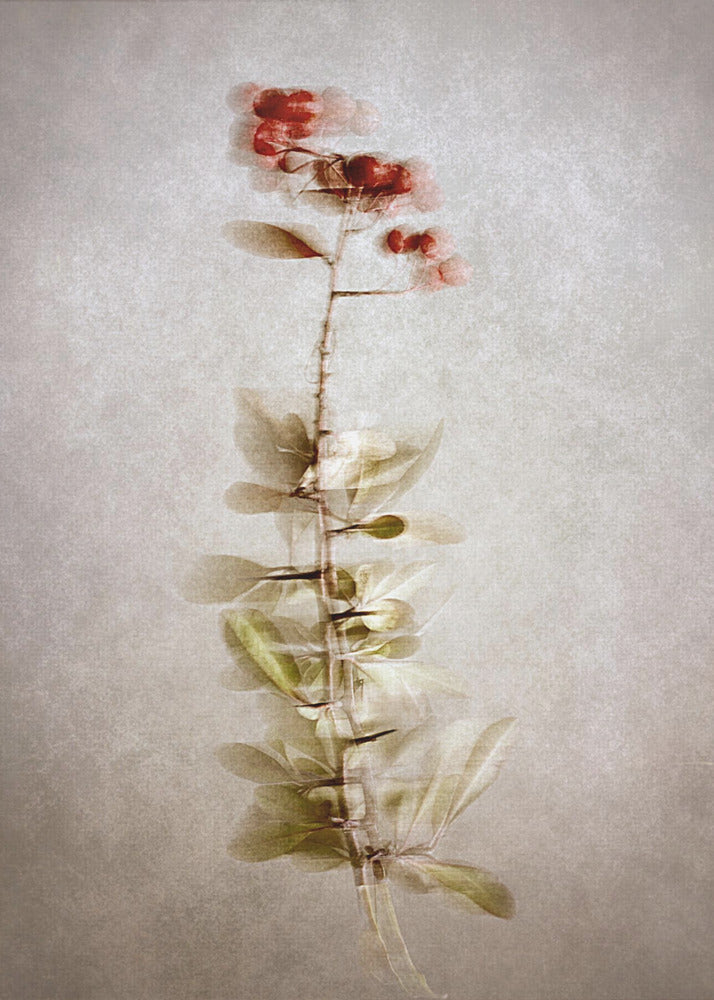 Exposed Wall Artwork In Black Floating Frame