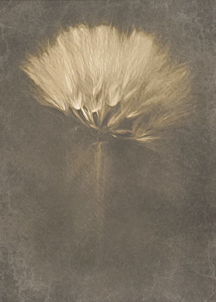 Mysterious Days Wall Artwork In Black Floating Frame